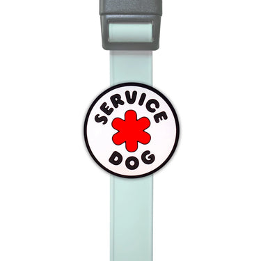 Jiby Dog Crew - Service
